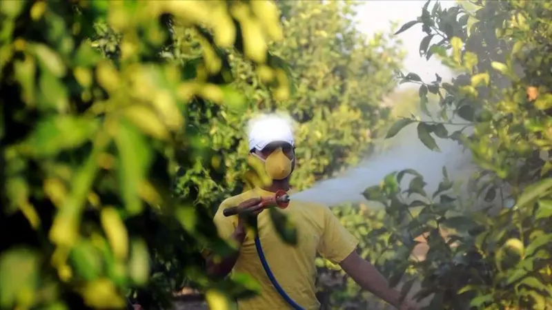 Zehirlenme Faciası! Bakanlık'tan Ailelerin Ölümü Sonrası Şok Karar