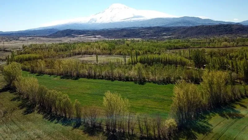 5 milyon kişiye tapu umudu: 2B arazilerinde yeni dönem