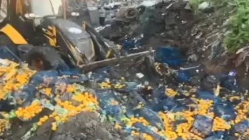 Sınırda Şok! 6 Ton Mandalina Neden Geri Gönderildi?