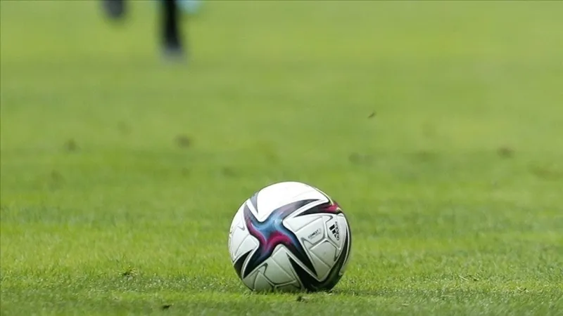 A Milli Takım, Dünya Kupası yolunda Gürcistan'ı ağırlayacak