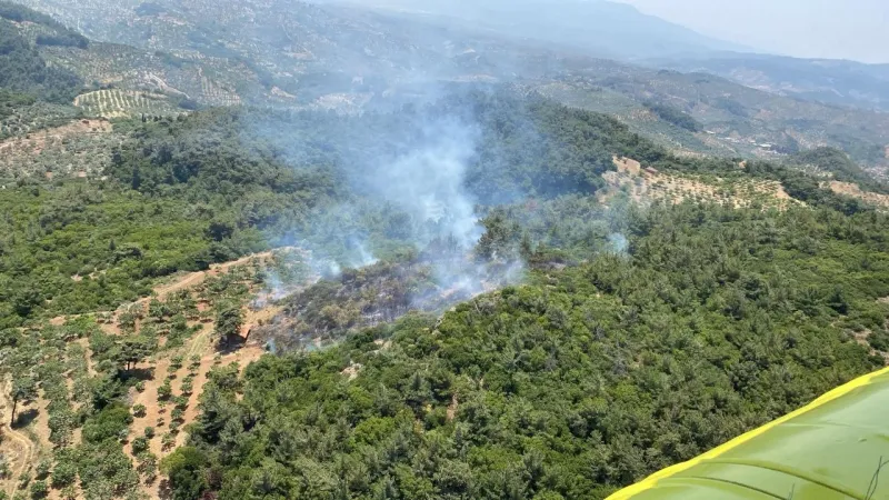 Aydın'da korkutan orman yangını: 2 hektar zarar gördü