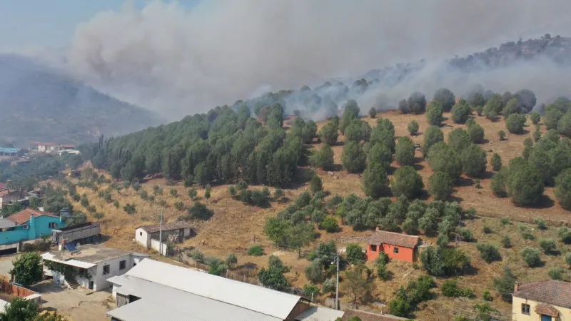 Aydın'da korkutan yangın: Havadan ve karadan müdahale devam ediyor