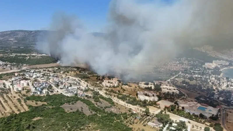 Aydın'da makilik alanda yangın çıktı