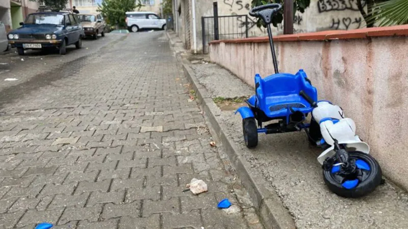 Aydın'da Kahreden Kaza! Torununu Kurtarırken Can Verdi