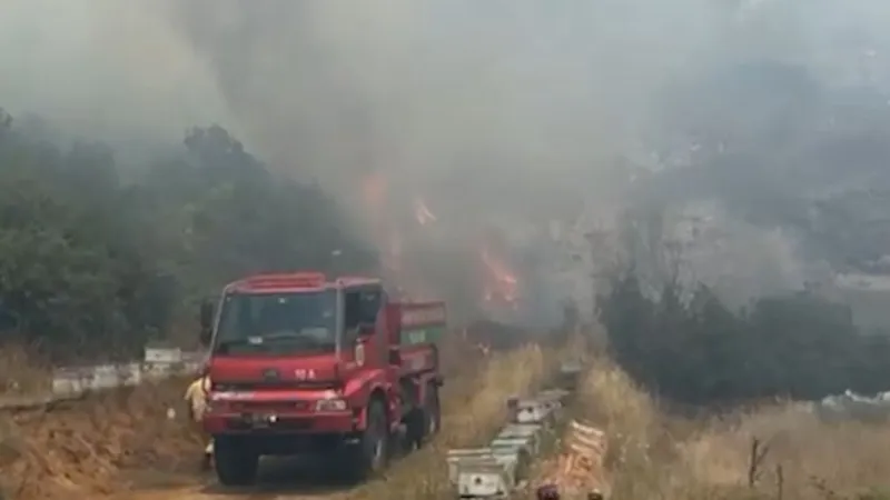 Balıkesir'de yangın: Alevlere müdahale devam ediyor