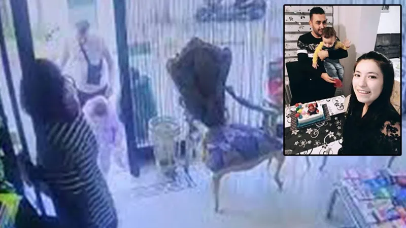 Böcek ailesinin ölümüyle ilgili yeni ifadeler açığa çıktı