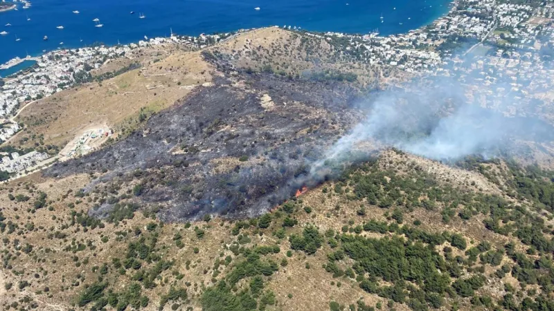 Bodrum'da yangın devam ediyor: Bir kişi gözaltına alındı