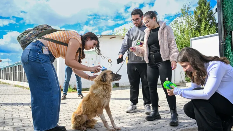 Bornova'da Can Dostlara Öğrenci Eli! Barınakta Neler Yaşandı?