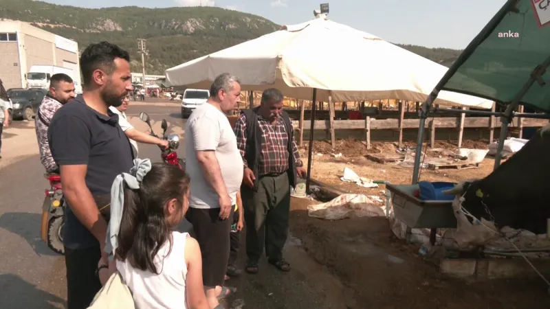 Bornova’da kurbanlık fiyatları düştü: Alıcı memnun, satıcı şikâyetçi