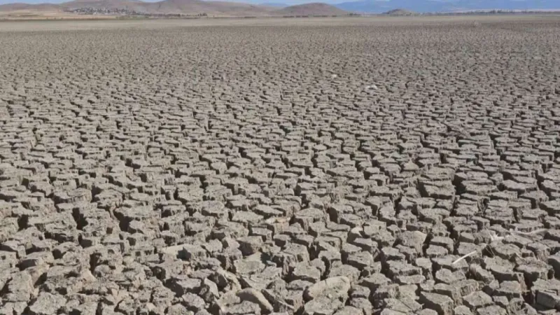 Bu ilde son 52 yılın en kurak dönemi: Nehre ve kanallara su verilmiyor