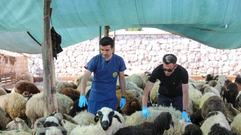 Buca'da Kurban Bayramı denetimleri: Pazarlar tek tek inceleniyor