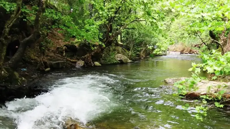 Buz gibi deresi ve asırlık ağaçları ile İzmir'in gizli kalmış bir köyü: Üstelik ESHOT ile ulaşım var
