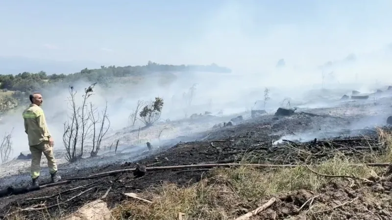 Çanakkale'de korkutan orman yangını: Havadan ve karadan müdahale