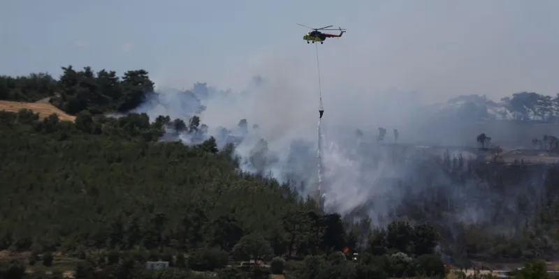 Çanakkale'de Korkutan Yangın! Orman Alevlere Teslim Mi Oldu?
