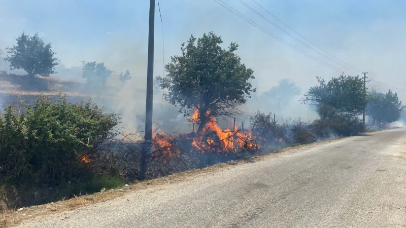Çanakkale'deki yangın ormana sıçradı: Müdahale sürüyor