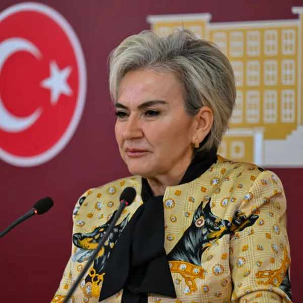 CHP, hayvan hakları için harekete geçti