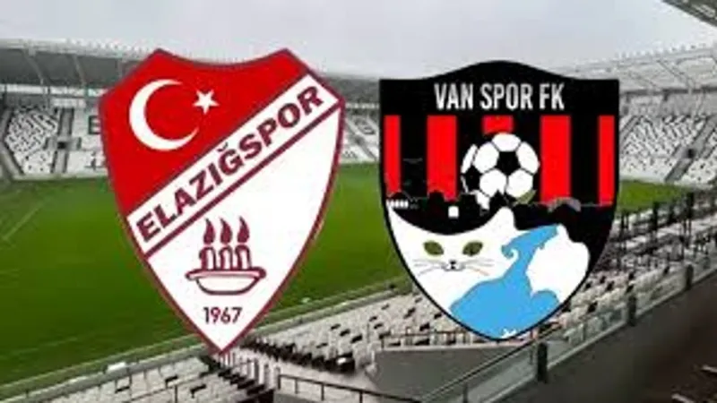 Çimentaş Elazığspor - Artı Değer Van Spor FK maçı yarıda kaldı