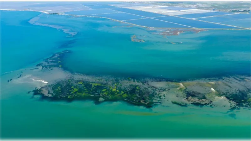 İzmir Körfez Temizliği: İptal Edilen Proje Yeniden Gündemde!