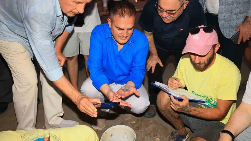 Tuba'nın Gizemli Yolculuğu: Caretta Caretta'ya Uydu Takibi!