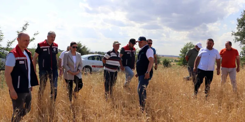 Edirne'de Dolu Felaketi! 10 Bin Dekar Alan Yok Oldu Mu?