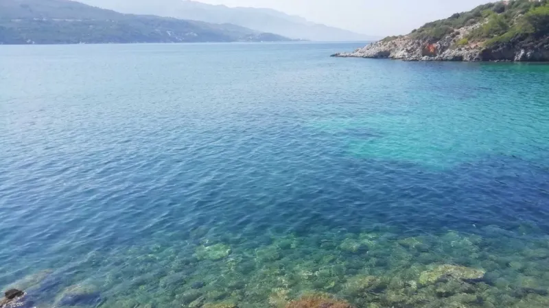 Ege Denizi’nde yeni bir tür keşfedildi: Türkiye'de bir ilk