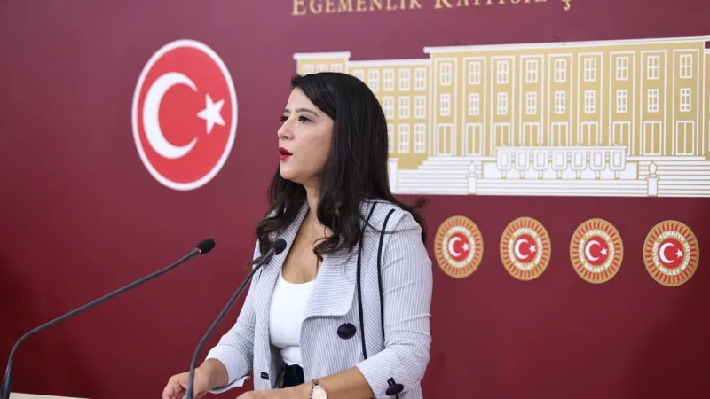 EMEP'li Karaca'dan İfade Özgürlüğüne Sert Eleştiri! Neler Oluyor?