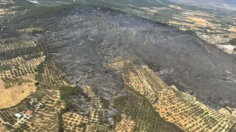 Foça'daki yangın kontrol altında