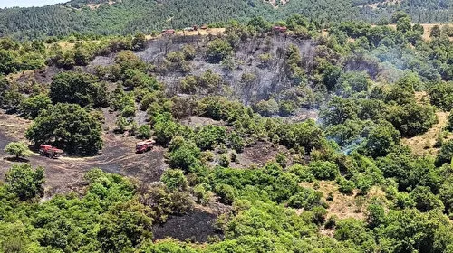 Balıkesir'de Orman Yangını Kontrol Altında: İşte Son Durum!