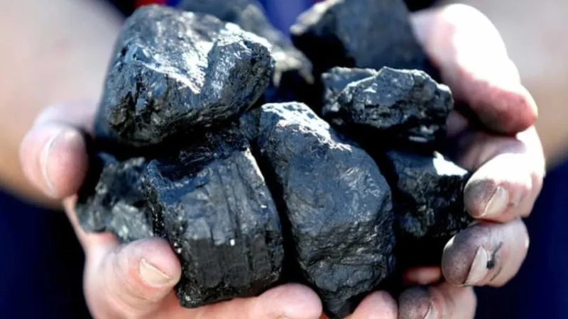 Güzelbahçe’de ihtiyaç sahiplerine kömür yardımı: Bu numaradan ulaşabilirsiniz