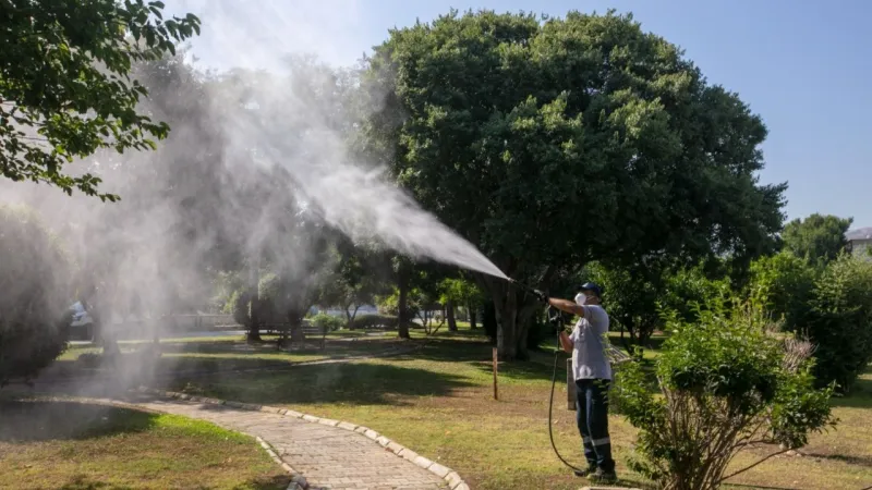 Güzelbahçe'de yaz boyunca sürecek mücadele başladı