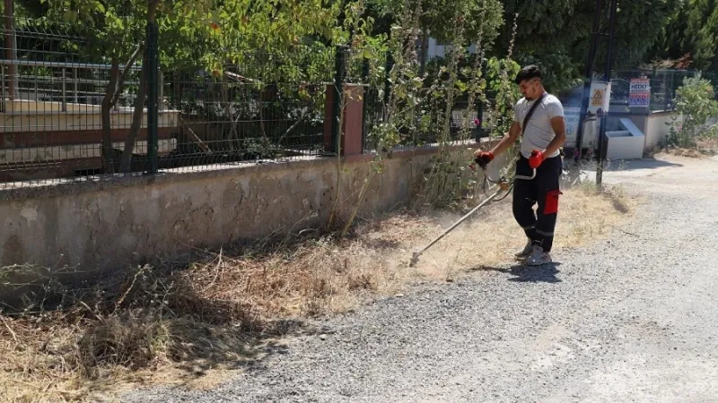 Haşereye ve yangına karşı çifte önlem: Menderes Belediyesi sahada