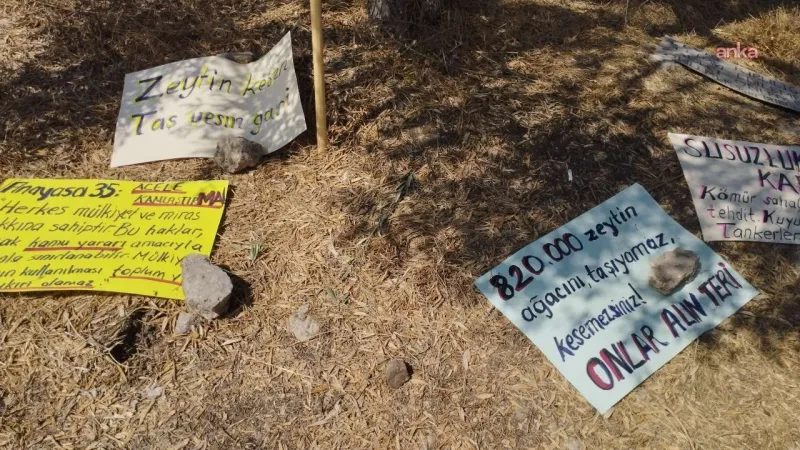 İkizköy'de direniş sürüyor: O zeytinler 100 senelik