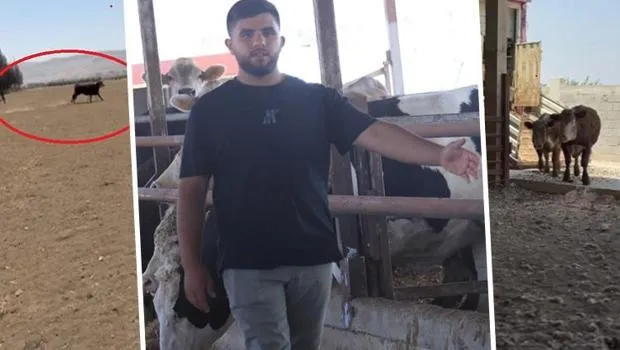 Anguslar Terör Esti! Sahibi Bile Yaklaşamıyor!