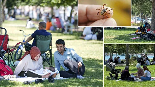 İstanbul'da tedirgin eden artış: Ense koltuk altı ve diz arkalarına dikkat!