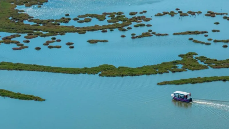 İzmir'de Müjde! İZDENİZ'den Lezzet ve Doğa Dolu Tur Fırsatları Başladı!
