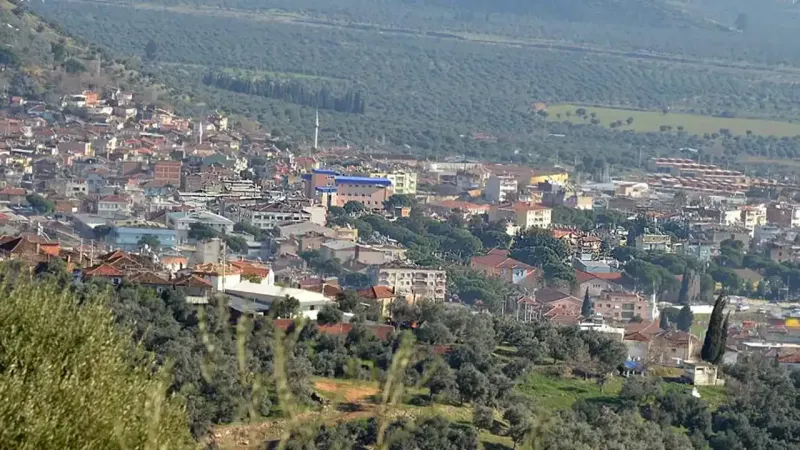 İzmir Bayındır'da mahkemeden satılık kargir ev ve zeytin bahçesi