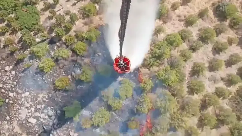 İzmir Foça'da orman yangını: 4 uçak, 6 helikopterle müdahale ediliyor
