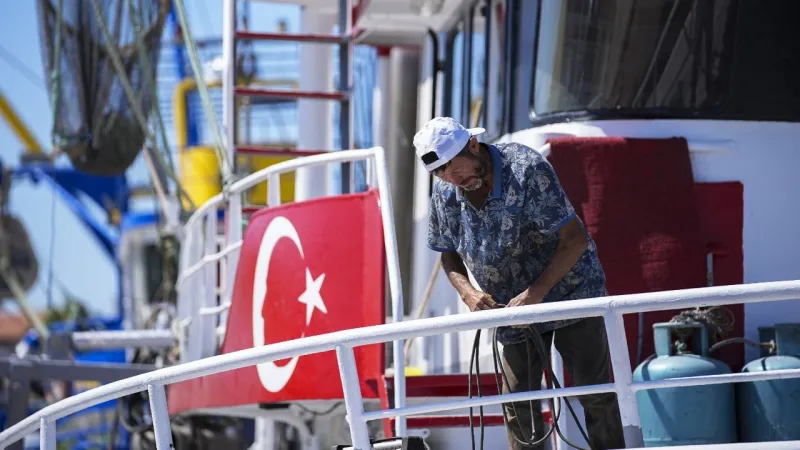 İzmir'de Balık Sezonu Heyecanı! Hangi Balıklar Bol Olacak?