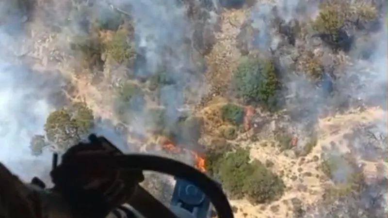 İzmir'de arıcının tütsüsü ormanı ateşe verdi