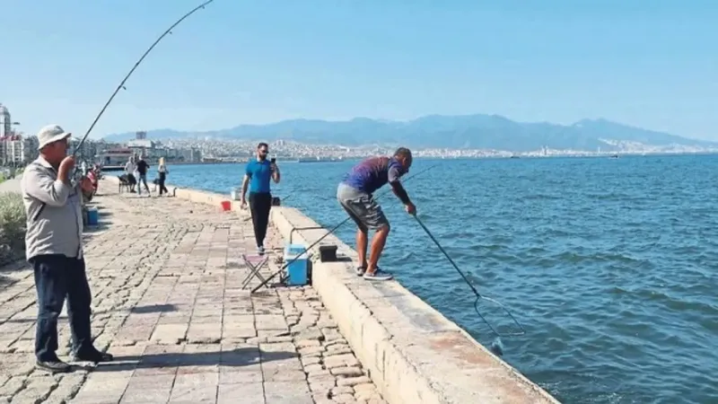 İzmir'de balık tutulacak yerler: Hangi ilçede hangi balık var?