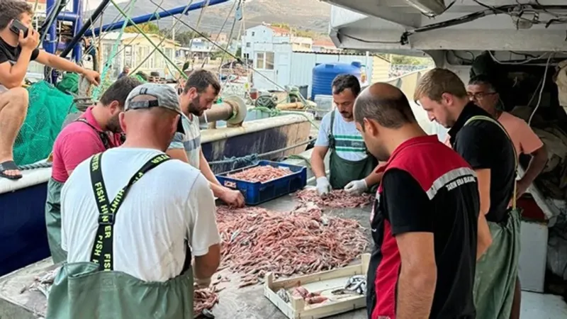 İzmir’de balıkçı barınaklarına ve parekende satış noktalarına denetim: 1 milyonluk ceza