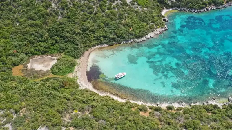 İzmir'de bir balıkçı köyü: Çam ağaçlı yolu, buz gibi turkuaz suyu ile gizli bir cevher