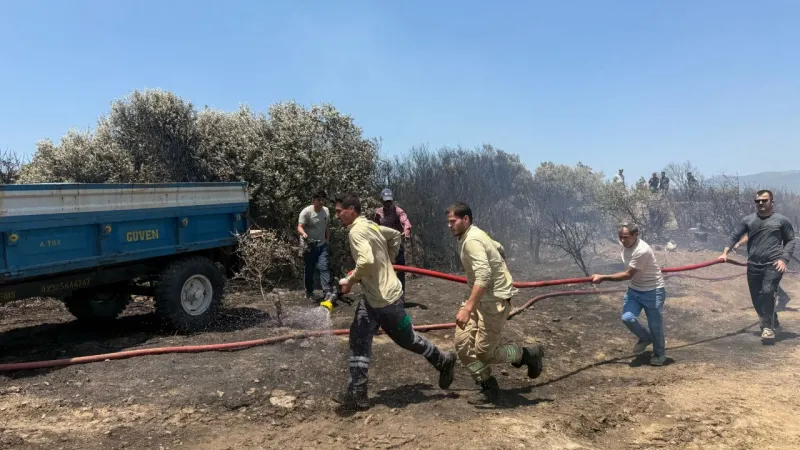 İzmir'de çıkan orman yangını kontrol altına alındı