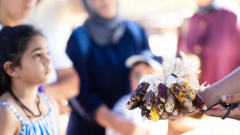 İzmir'de Çocuklar Toprağa Dokunuyor! Tohumdan Sofraya Eğitim Şöleni