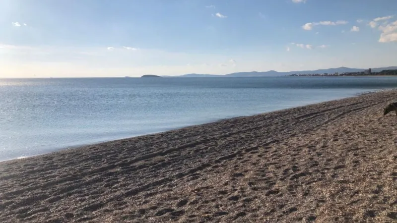 İzmir'de gençlerin tercihi: Ege Üniversitesi Özdere Kampı'na ESHOT ile ulaşım