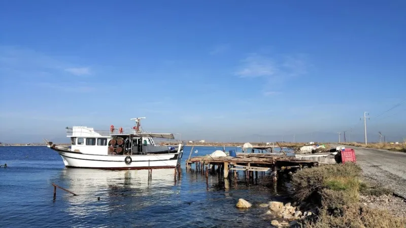 İzmir'de gözlerden uzak bir doğa harikası: Homa Dalyanı nerede? Nasıl gidilir?