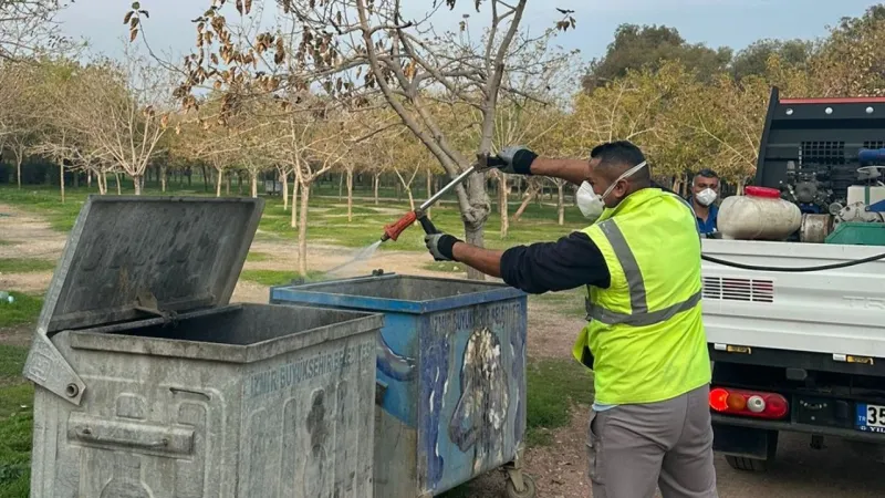 İzmir'de Karasinek Alarmı! Belediyeden Yoğun Mücadele