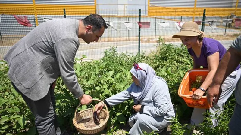 İzmir'de Kent Bostanları Patladı! Hangi Mahallelere Yayılıyor?