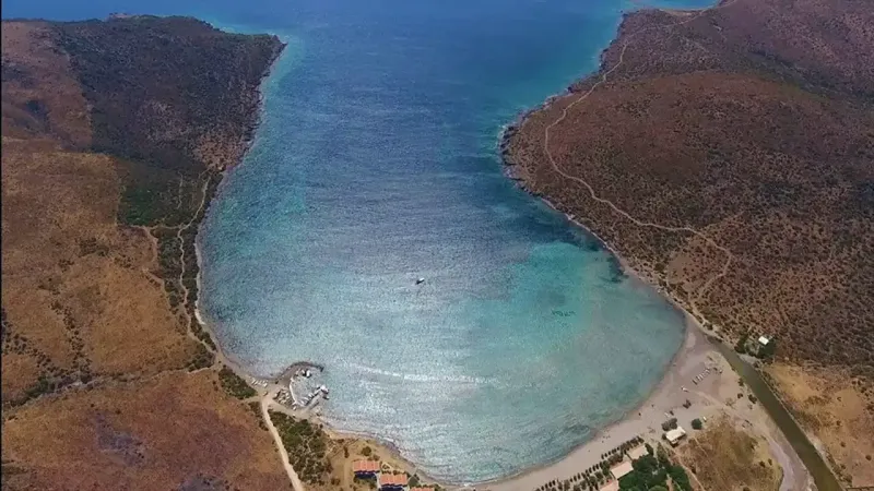 İzmir'de köye özel plaj: Zeytin ağaçları içinde, masmavi suyu ile Samos'u aratmıyor
