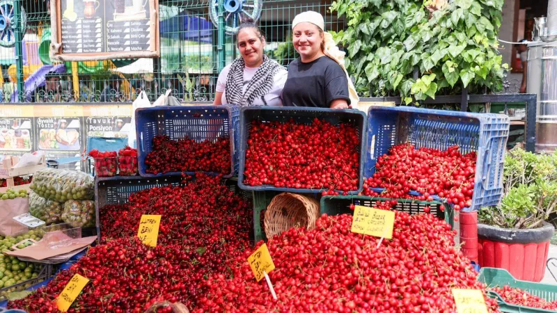 İzmir’de kültür ve eğlence dolu etkinlik: Buca 18. Belenbaşı Yörük Kültürü ve Kiraz Festivali